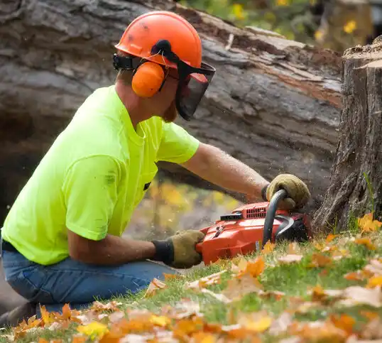 tree services New Holland